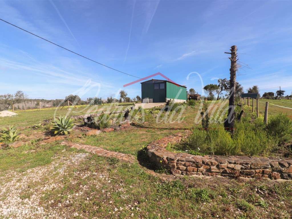 Quinta com 6,5ha em Vale Juncal - São Teotónio-51