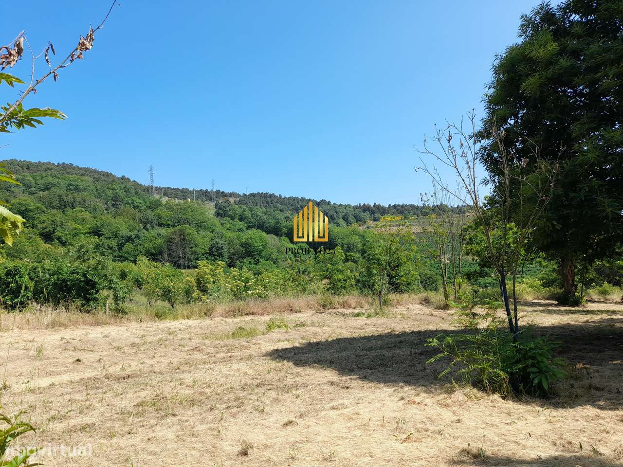 Terreno único com 21.500 m² Zona Vinhateira - Projeto Turístico-34