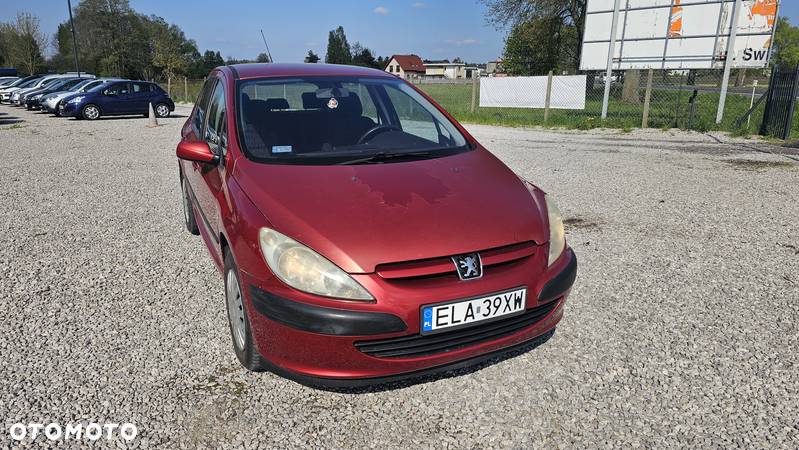 Peugeot 307 1.6 Trendy - 8