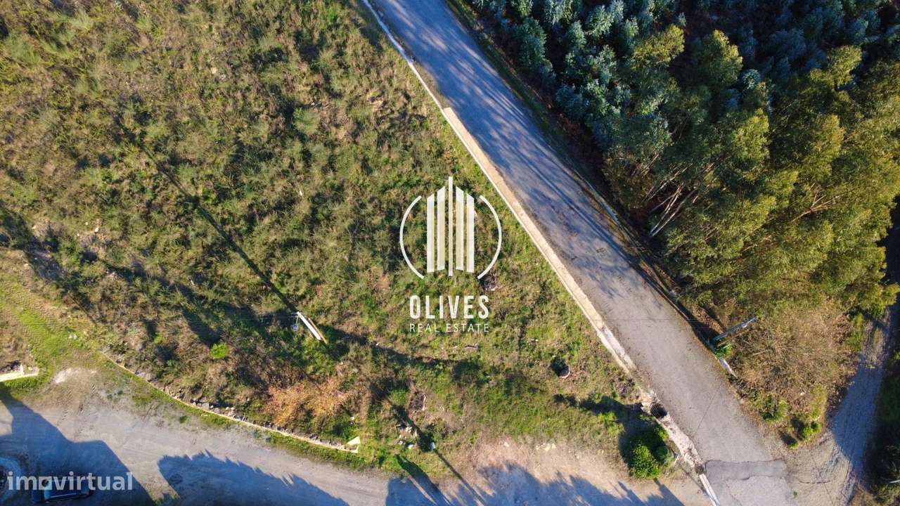 Lote de Terreno  Venda em Airão Santa Maria, Airão São João e Vermil,G - Grande imagem: 4/8