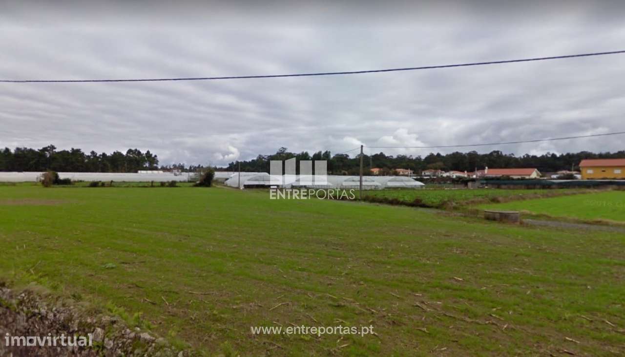 Venda de Terreno Agrícola com 5240 m2, Terroso - Grande imagem: 3/15