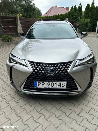 Lexus UX 250h Launch Edition - 13