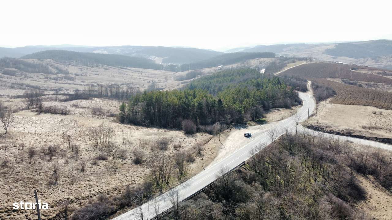 Teren 10000 mp Sanduleni-6