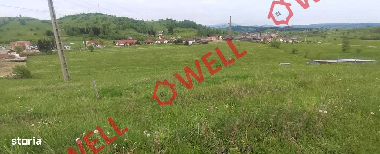 De vânzare teren intravilan în Barcani, pe strada Bisericii! - Imagine principală: 1/5