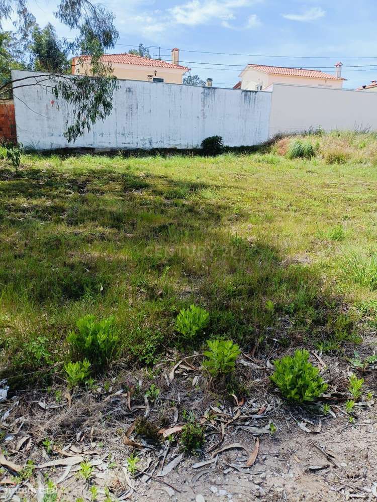 Terreno Urbano em Mamodeiro – Excelente Oportunidade de Construção-6
