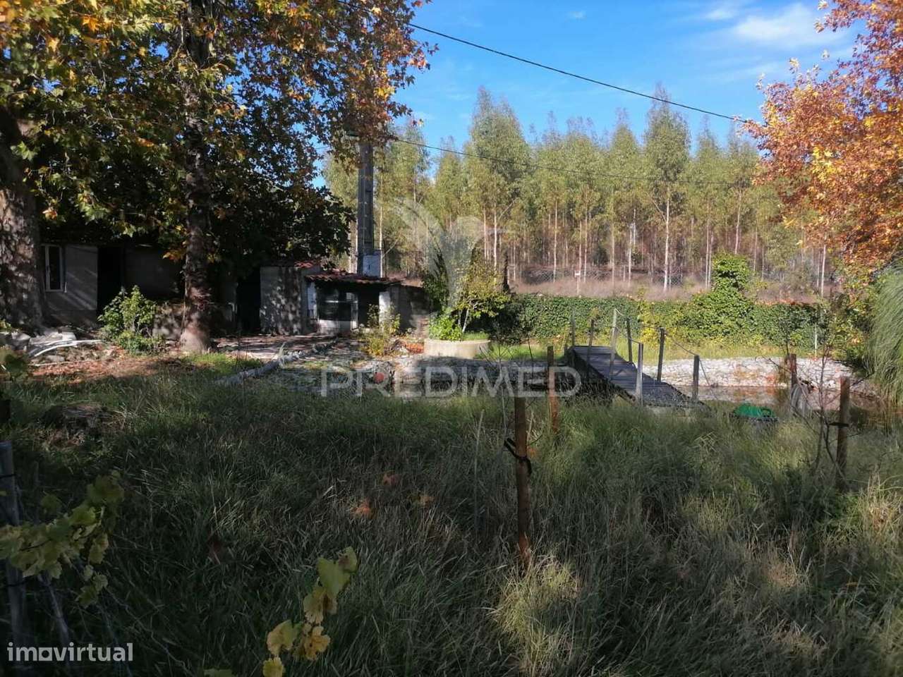 Terreno Agrícola - Grande imagem: 3/10