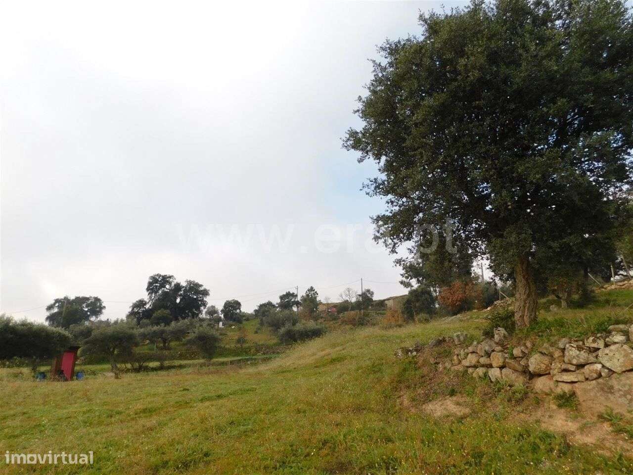 Quinta T1 / Fundão, Mata da Rainha - Grande imagem: 5/14