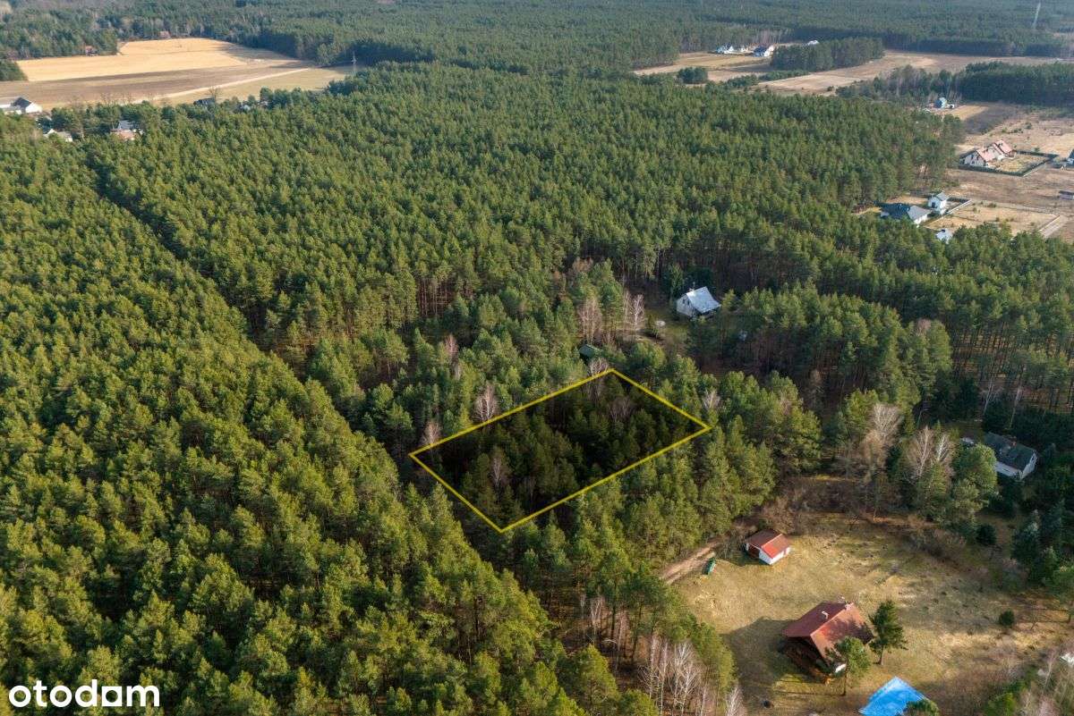 Działka 1722 m² | budowlana | Świniotop |ogrodzona-1