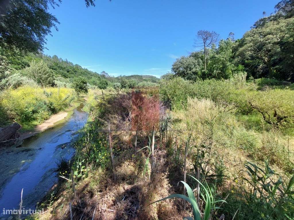 Terreno Rústico com 5.900 m² junto ao Rio Arnóia-12