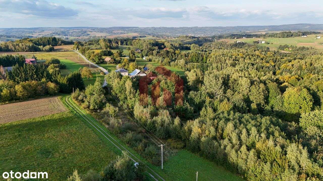 1,47 ha, Wz! dom w lesie? biznes? Jedyna taka!-4