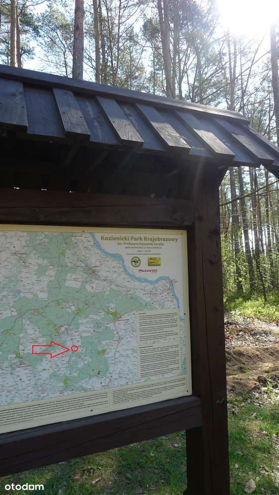 siedlisko, prawie 1 ha ziemi, w pięknym otoczeniu!-10