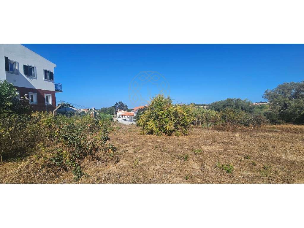 Terreno para construção de 2 Moradias!-10