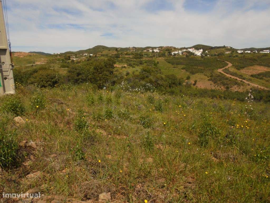 Terreno rústico com 3600m2, Conceição de Tavira, Algarve - Grande imagem: 5/13