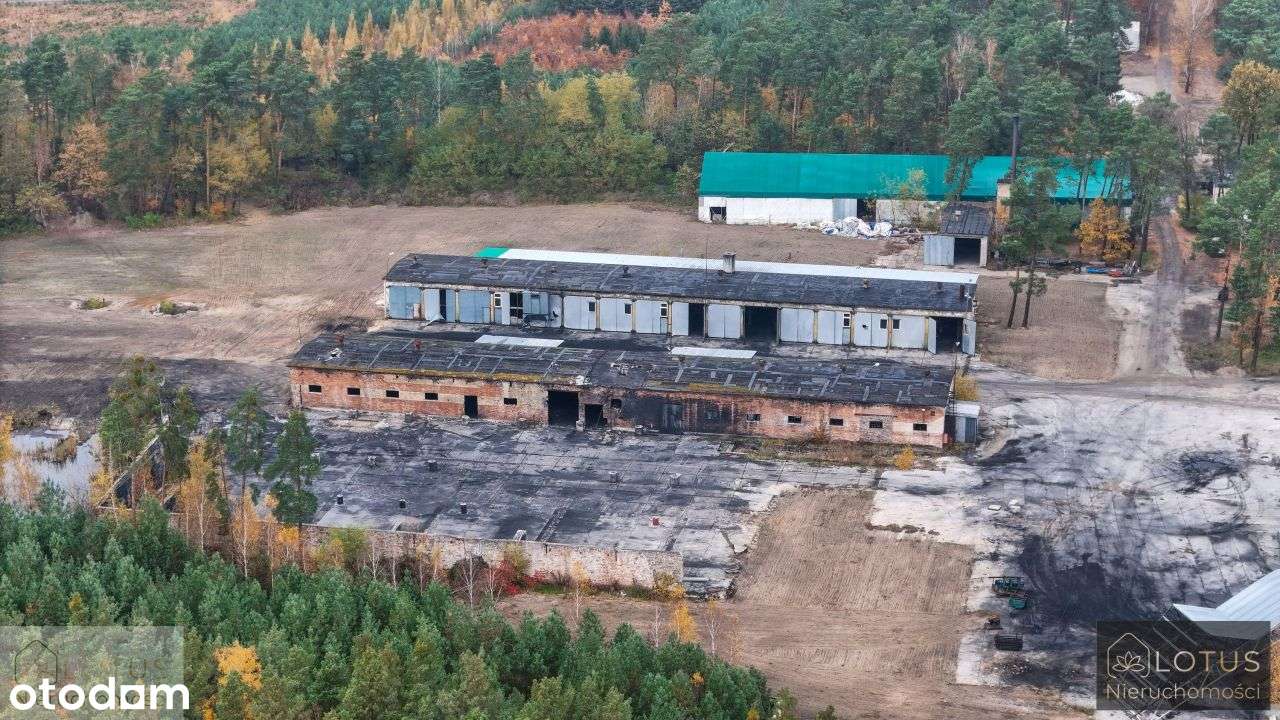 Teren Przemysłowy Z Obiektami Magazynowymi - Pełny obrazek: 4/14