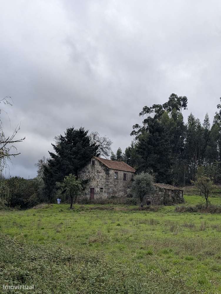 Quinta com Vista para a Serra da Estrela | Moimenta da Serra – Gouveia - Grande imagem: 5/19