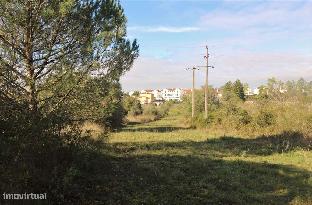 Terreno para construção , Cernache - Grande imagem: 3/13