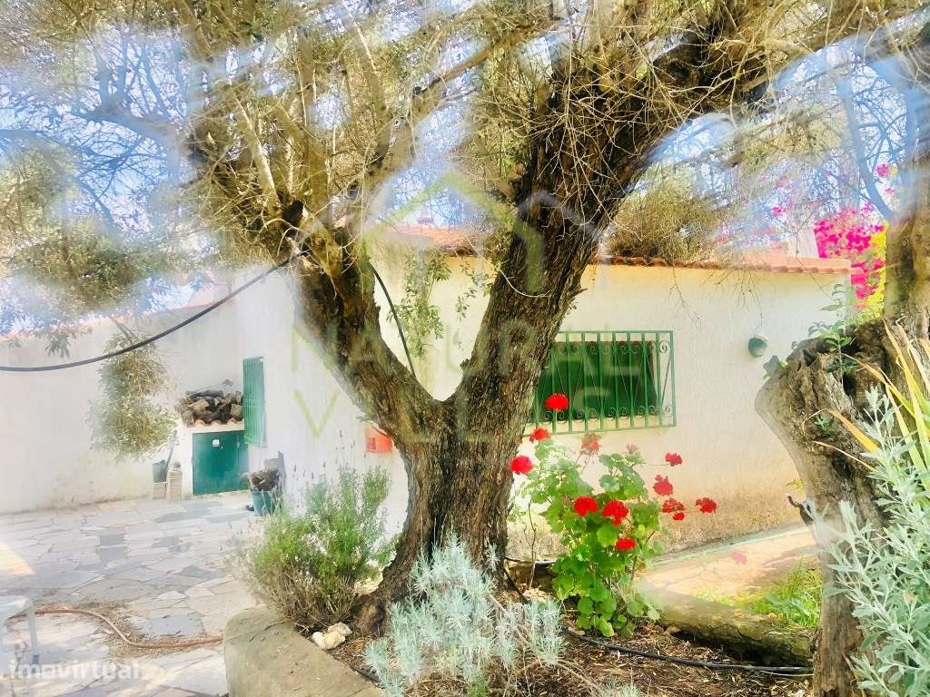 Moradia de Campo T5 com Piscina de Água Salgada e Terreno, Tunes-21