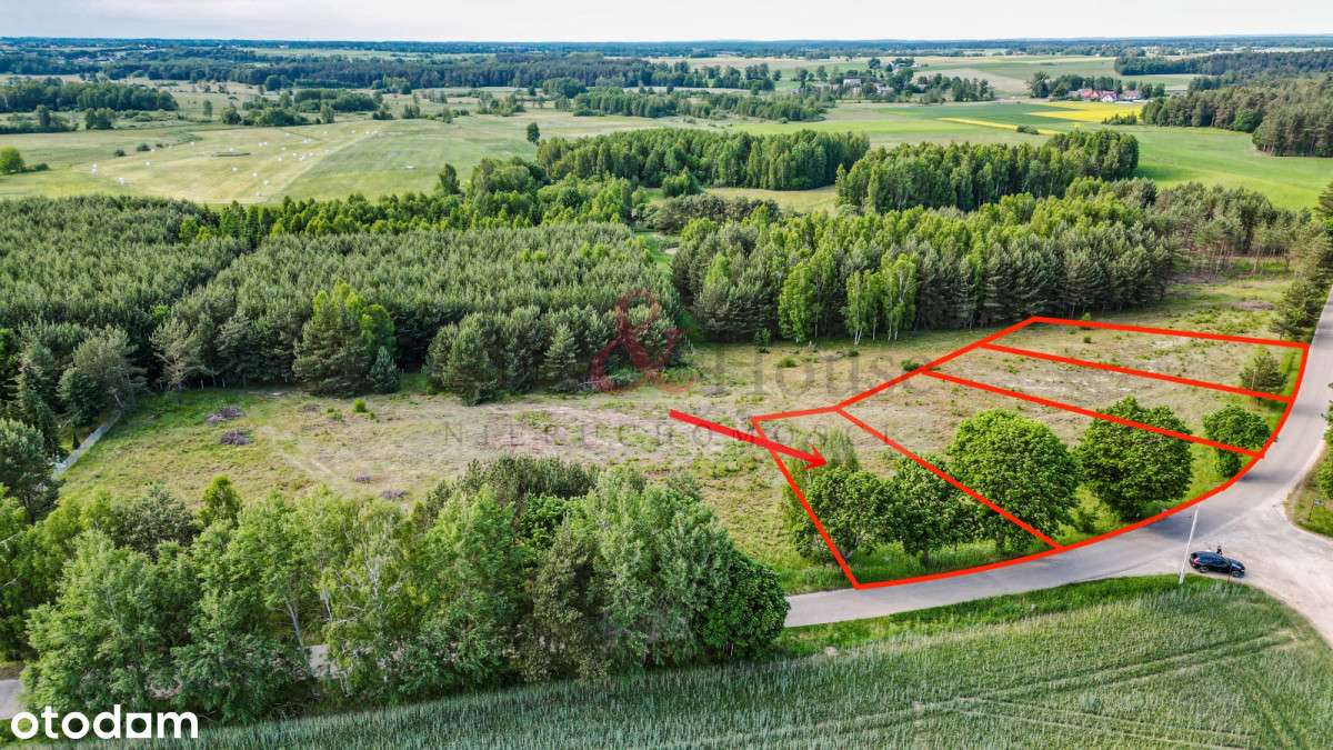 Działka na Kaszubach przy samym lesie - Pełny obrazek: 2/18