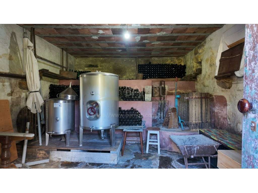 Moradia T2 em Vilar de Mouros, inserida em terreno com 3113m2-24