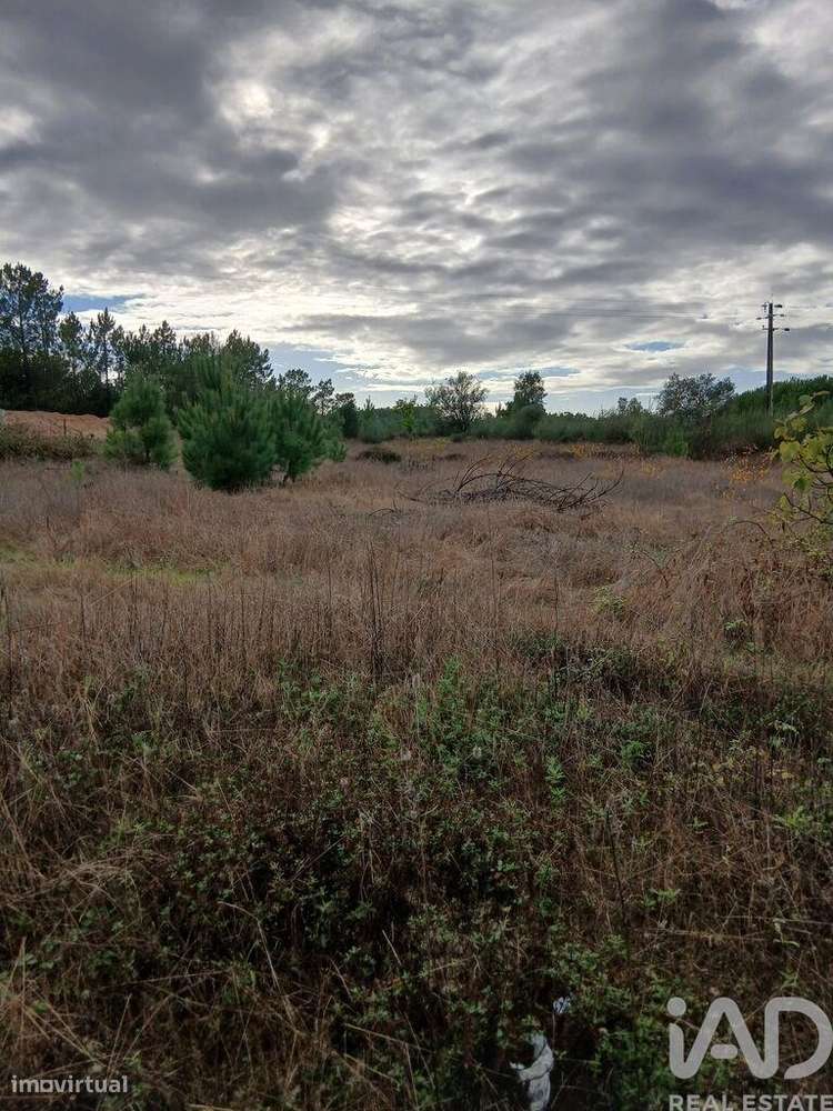 Terreno Agrícola em Fazendas de Almeirim - Grande imagem: 3/3