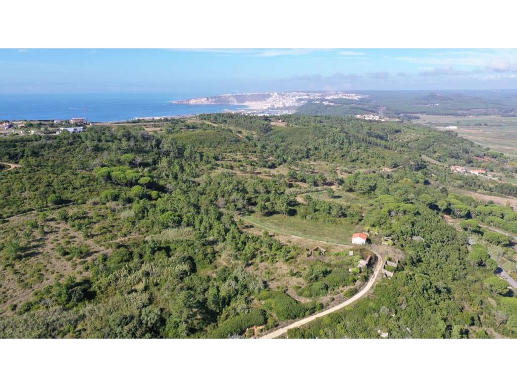 Terreno Misto na Serra da Pescaria - Grande imagem: 5/8