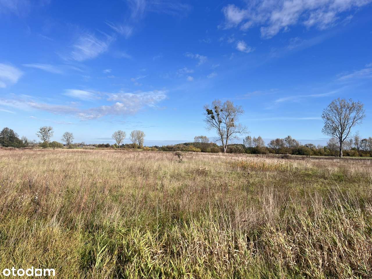 Działka blisko Odolanowa - Pełny obrazek: 4/4