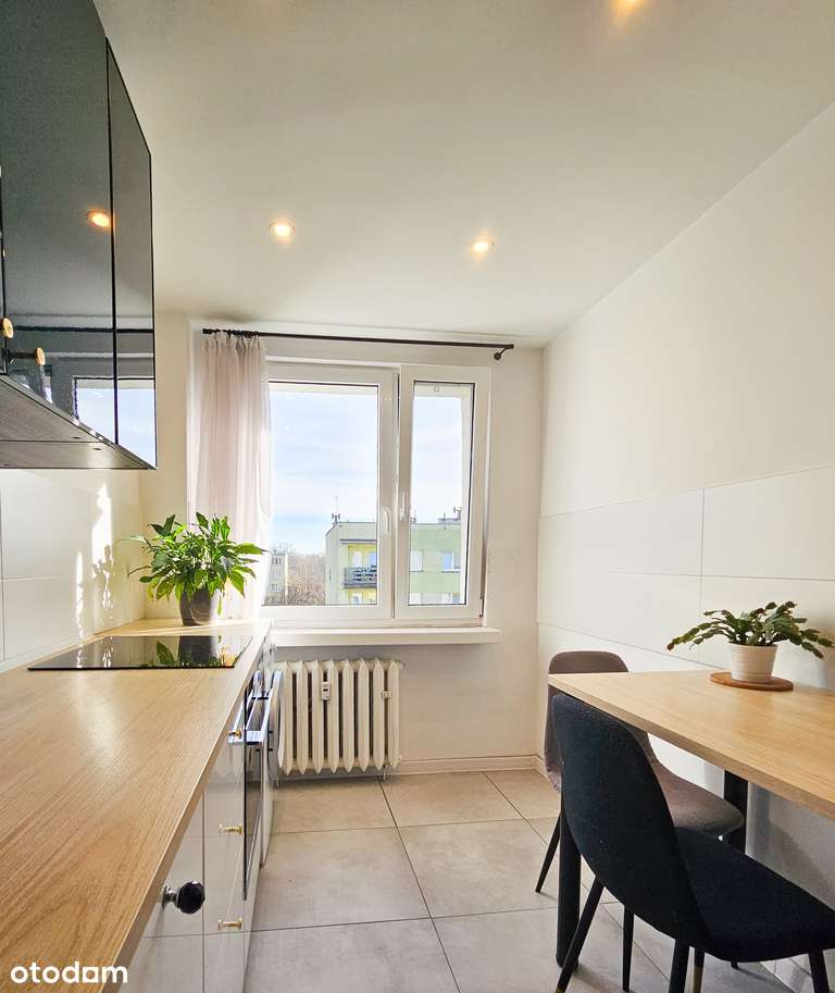 Po generalnym remoncie z umelowaniem + balkon !-3