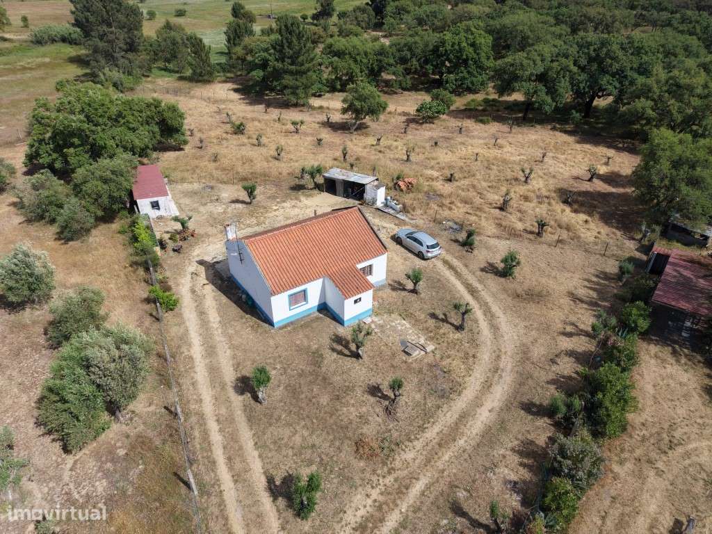 QUINTA (4.500 m2)-22