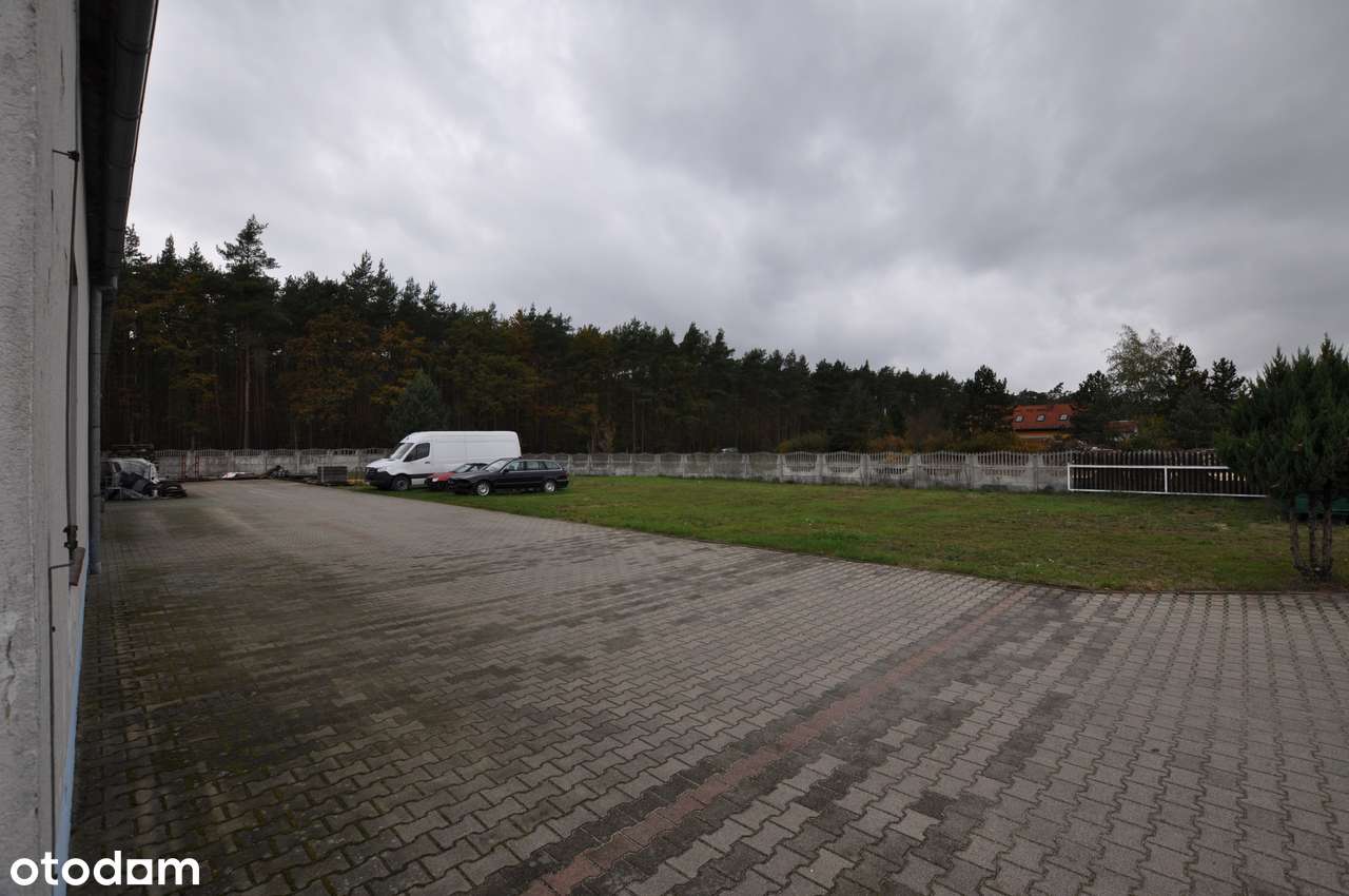 Hala 200+60m2, duży podjazd, 15km od Oławy, Jelcza i Brzegu, ogrzewana - Pełny obrazek: 4/17