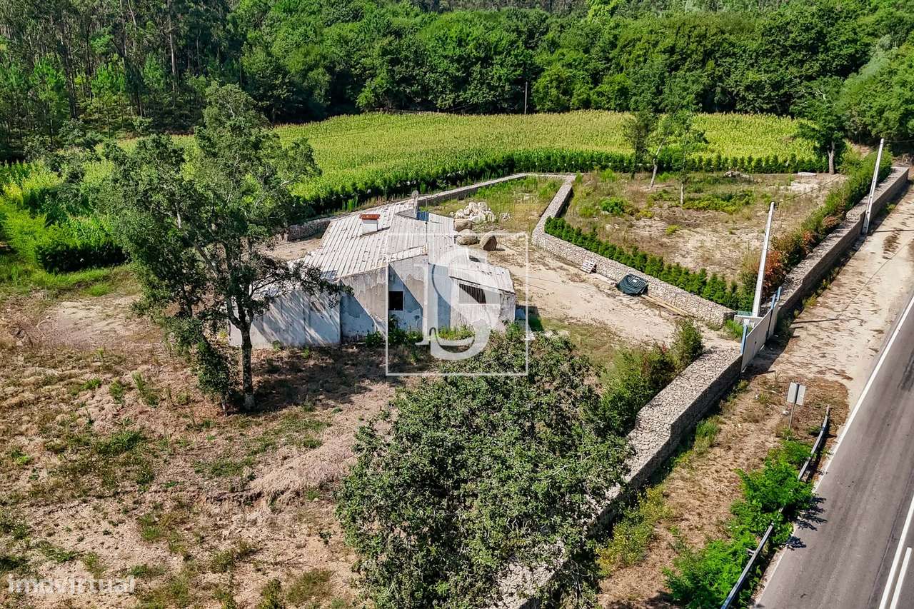 Moradia, 5 604 m², Palmeira de Faro e Curvos-12