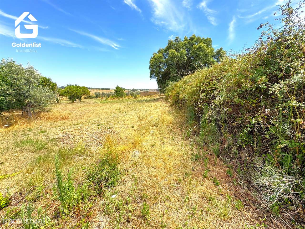 Quintinha  Venda em Escalos de Cima e Lousa,Castelo Branco-14
