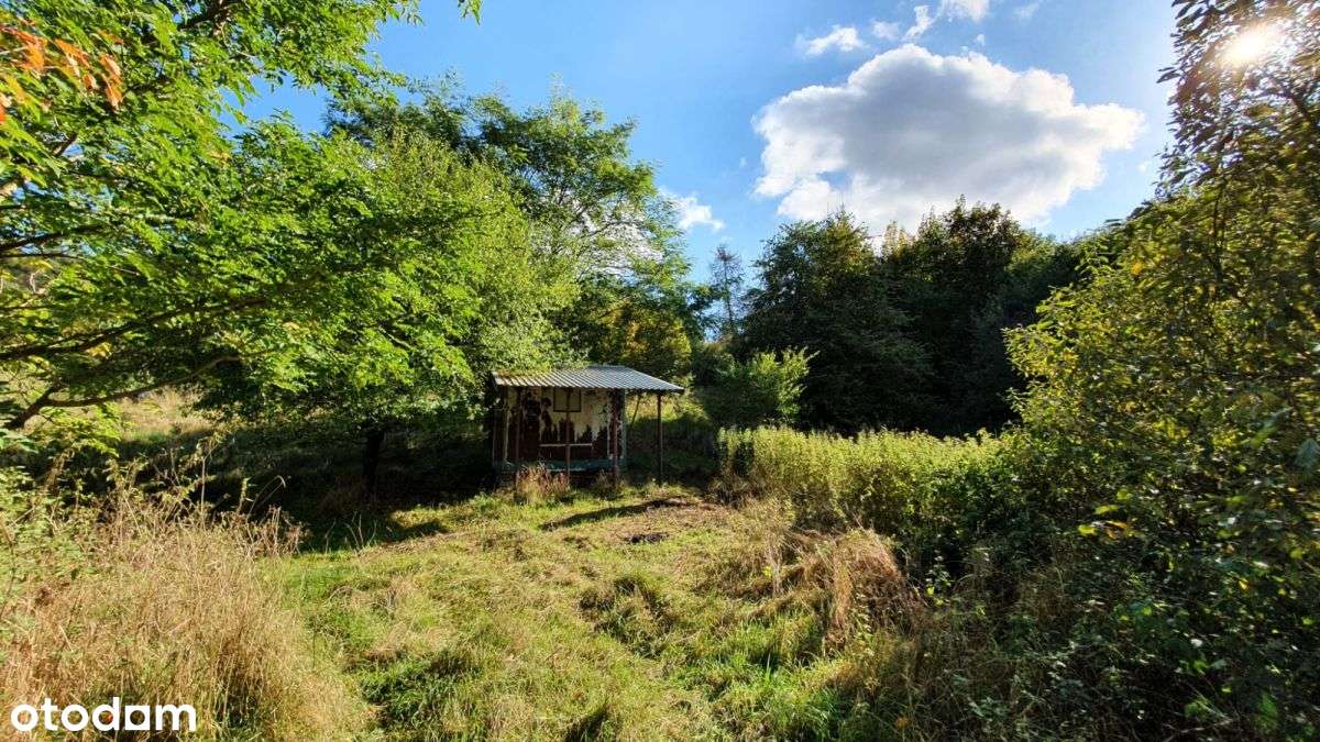 Piękna działka z "oczkiem", w sąsiedztwie zabudowa-13