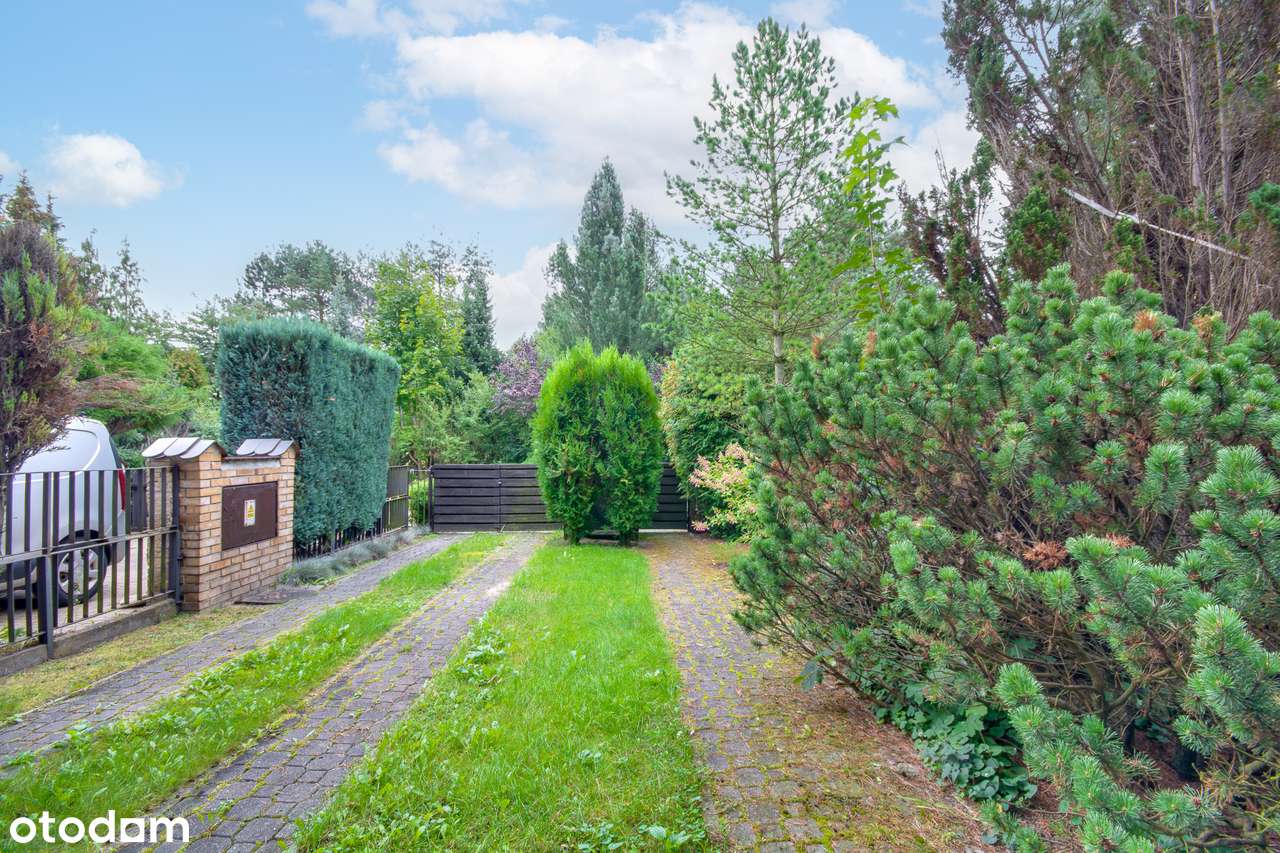 Katowice Bałtycka skrajny, duża działka widok na LAS! CENA OSTATECZNA!-7