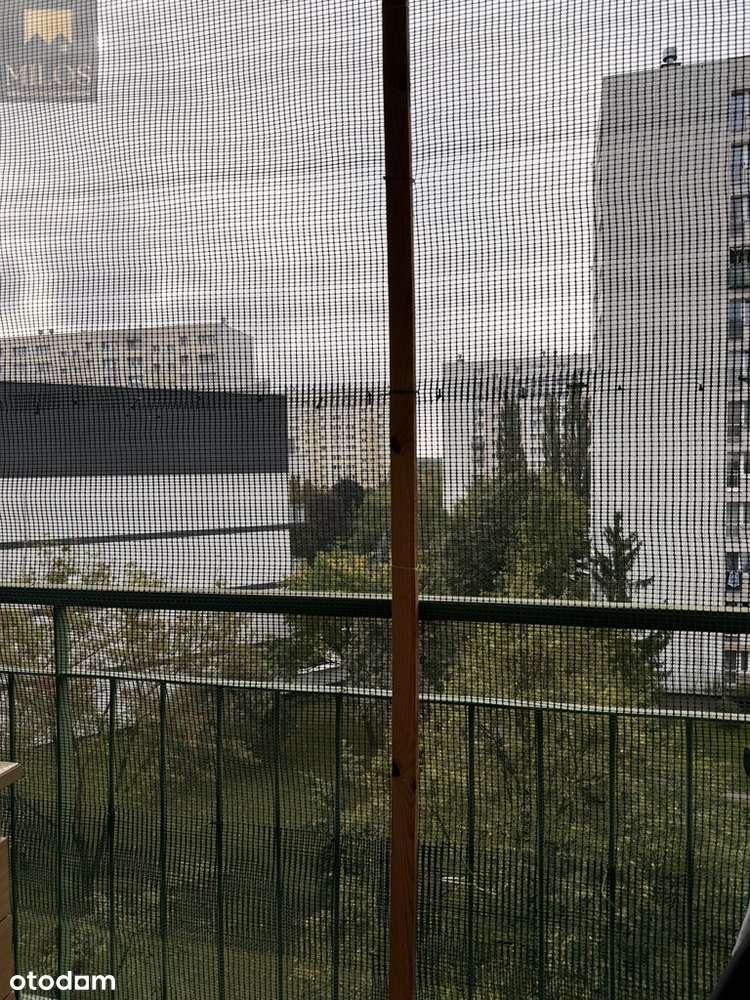 Wygodne 3 pokoje z loggią i piwnicą – centrum-10