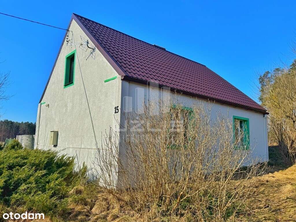 Dom do adaptacji 72m2 działka 3202m2 Dąbki - Czers - Pełny obrazek: 3/20