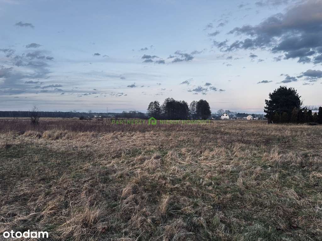 Działka w Reptowie 3022 m2 - Pełny obrazek: 4/4