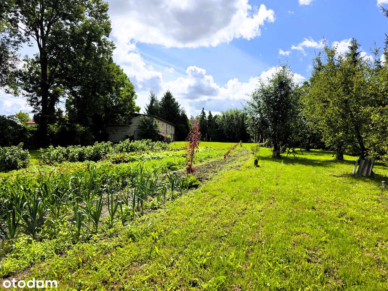 Duża Działka | Dom | Budynki - Pełny obrazek: 5/15