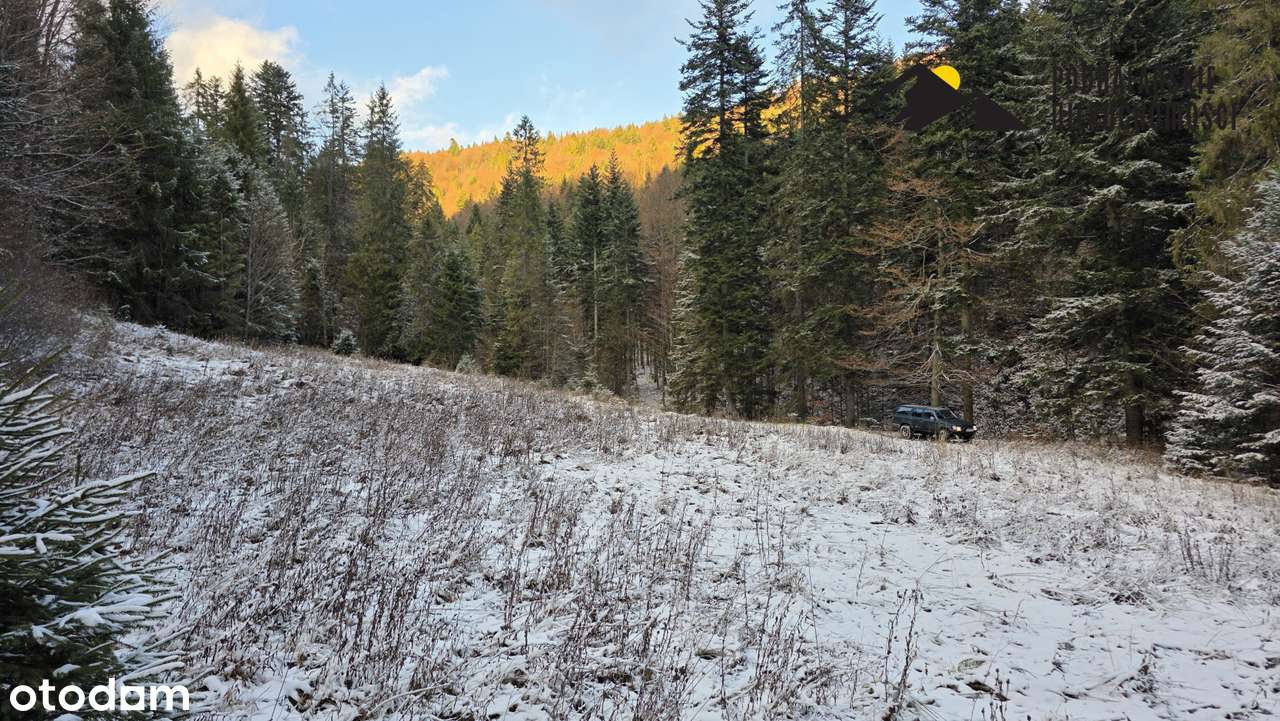 Polana w Gorcach w spokojnej okolicy-0