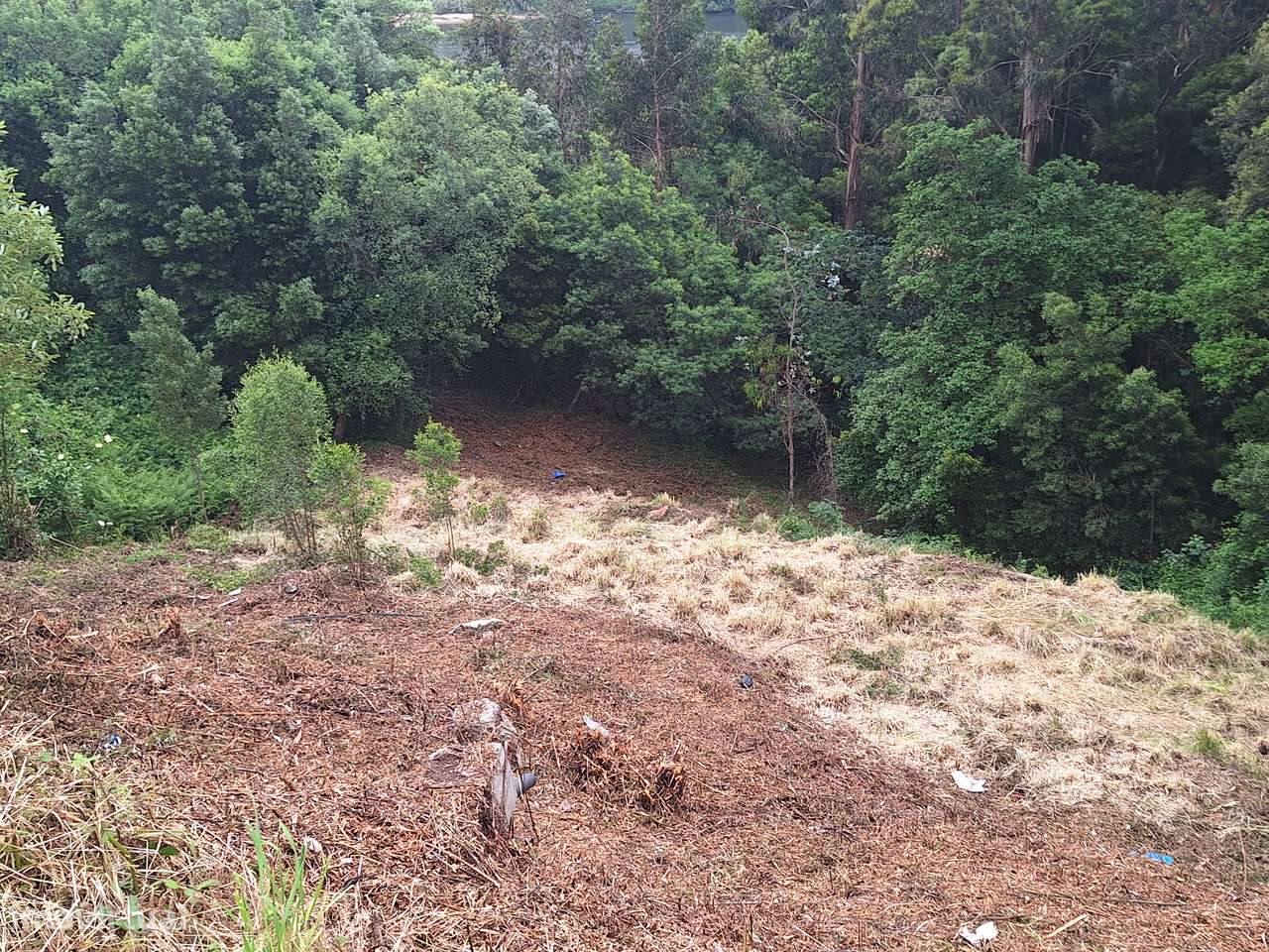 CPM26001  desde 79,96€/m2 Terreno Urbano Gaia c vistas p/ Rio Douro!!!-15