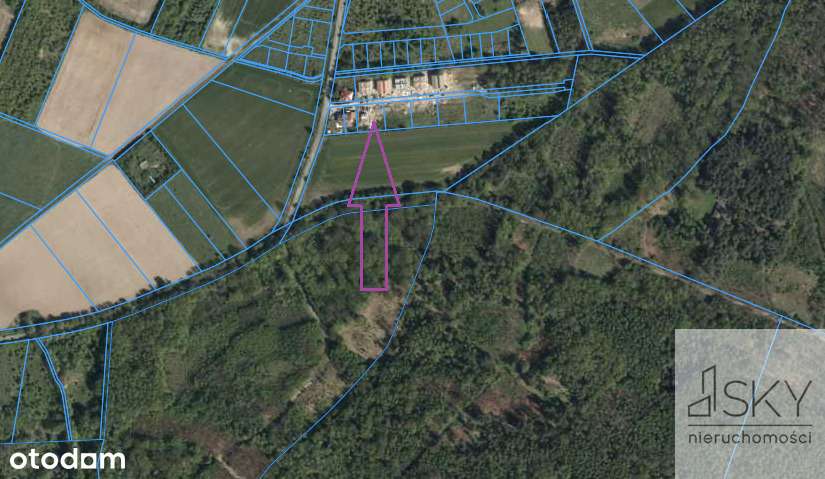 Media, Las Ratyński, 1340m², budowlana, Wrocław - Pełny obrazek: 3/4