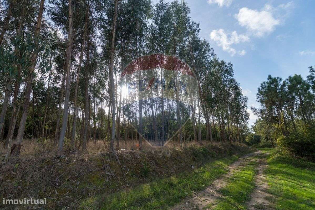 Terreno  para venda - Grande imagem: 5/13