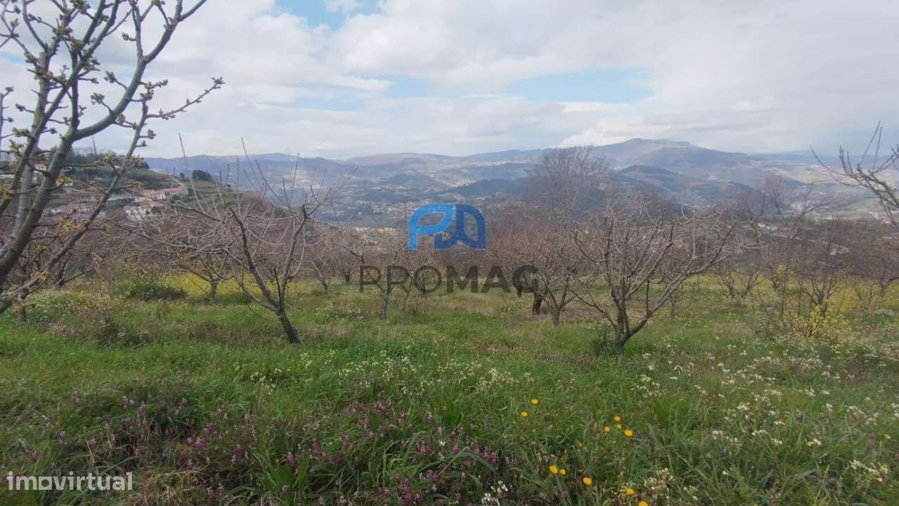 Terreno Urbanizável de 7959 m² com Armazém-36