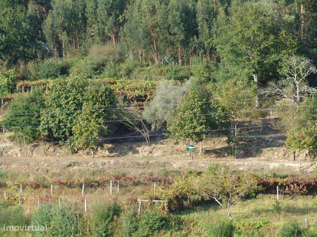 Terreno em Refóios do Lima- Ponte de Lima. - Grande imagem: 2/6