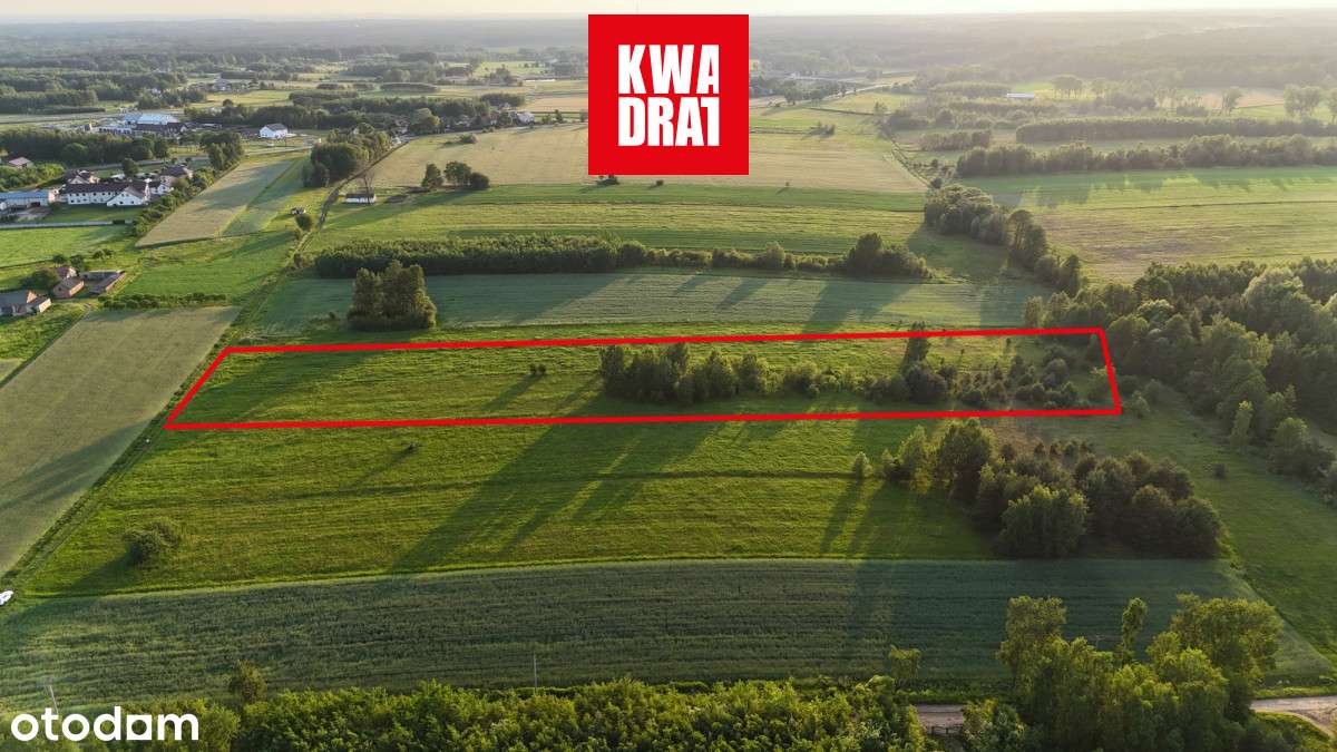 Grunt z potencjałem, rolno-zagrodowy 1,23ha, S17 - Pełny obrazek: 5/18