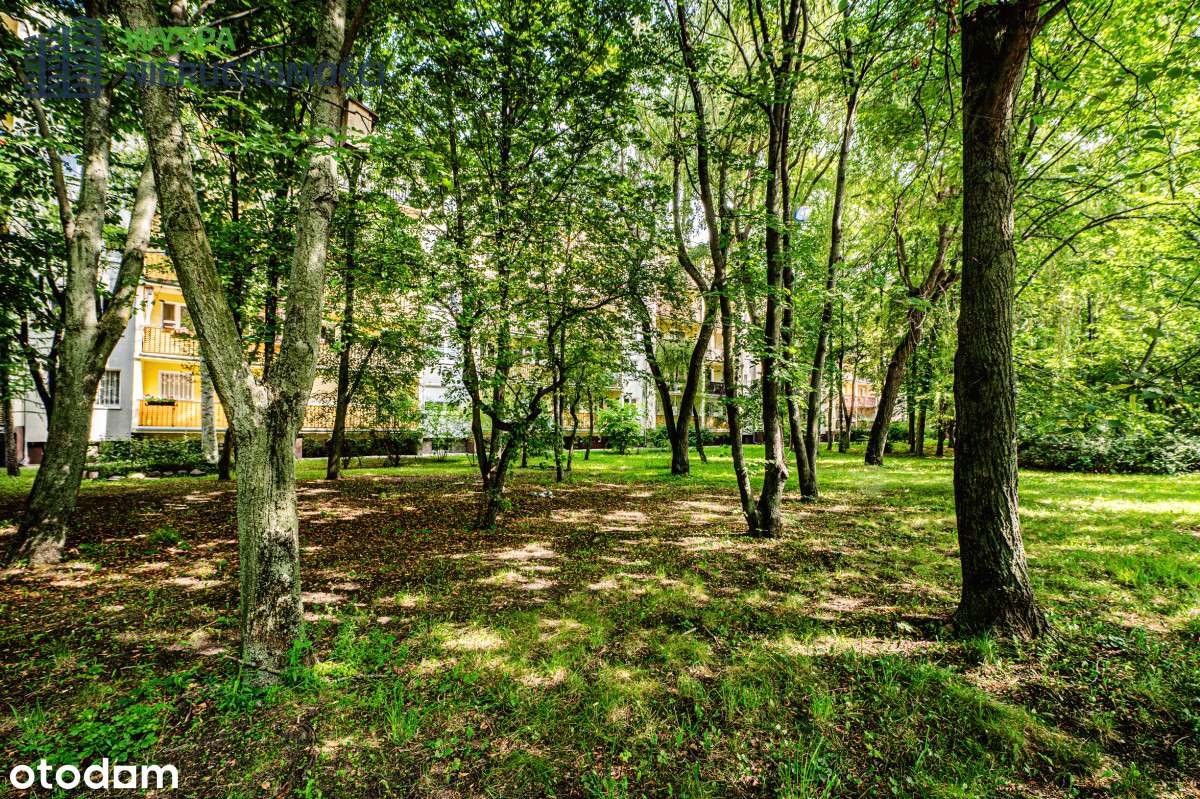 Mieszkanie blisko Posnanii, z widokiem na zieleń-14