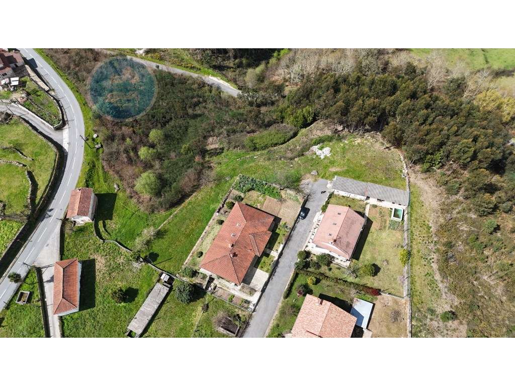 Terreno à venda- Cruz do Muro, Cabeceiras de Basto-7