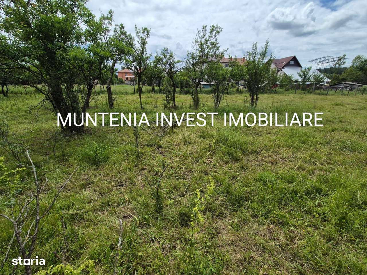 De vânzare teren 4900 mp. Com. Vedea - Imagine principală: 4/11