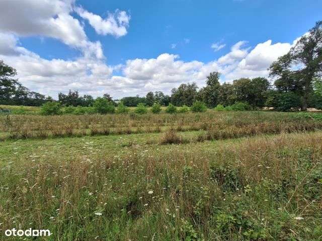 Działka, 4 240 m², Zglinna Duża-6