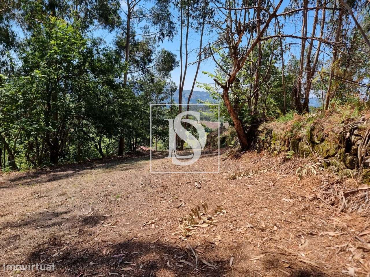 Terreno com Capacidade de Construção-13