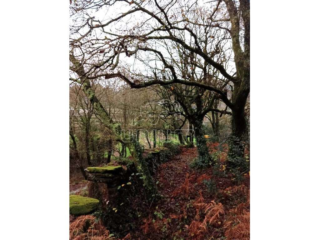 Terreno em Amonde - Grande imagem: 4/8